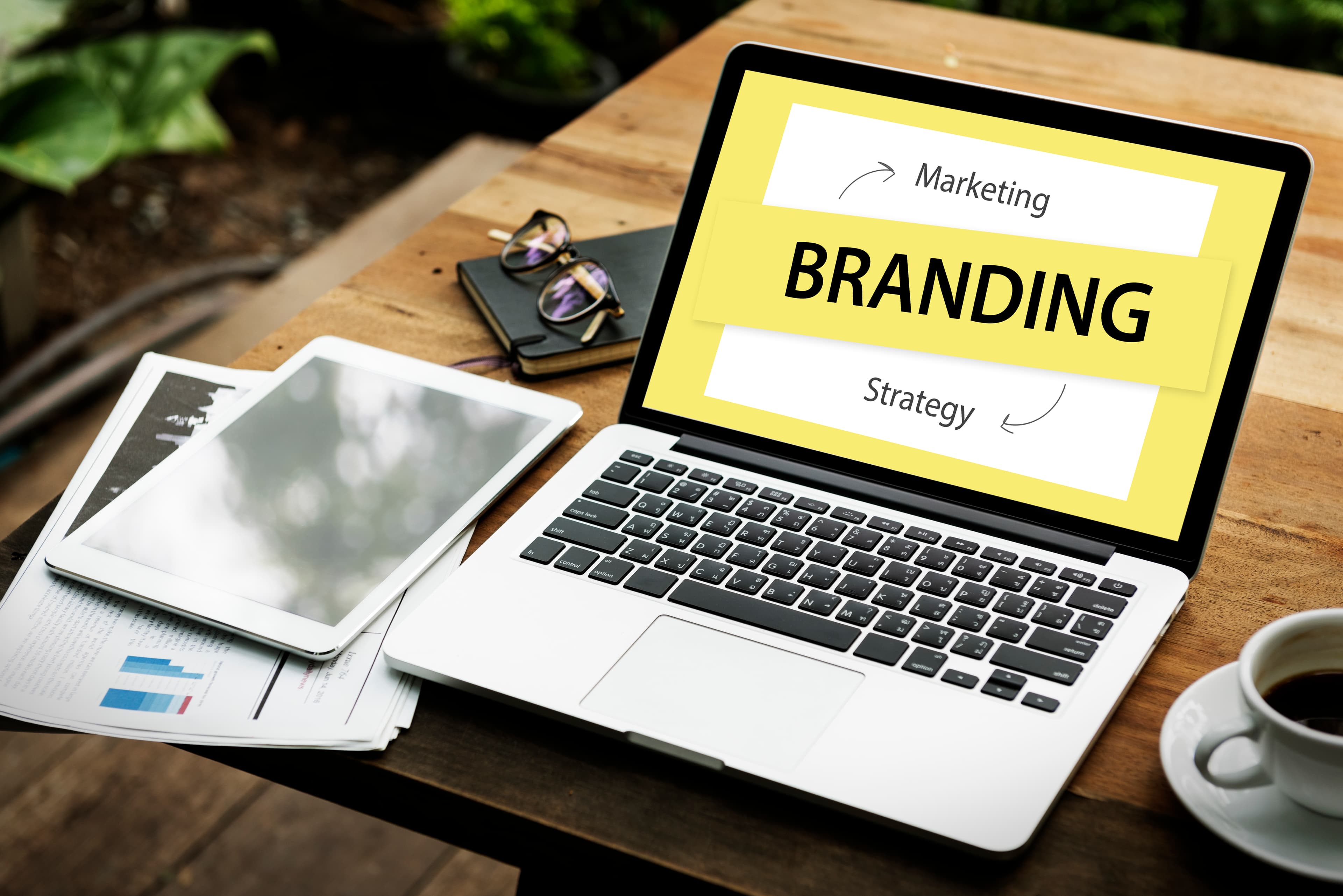 Branding & Visual Identity